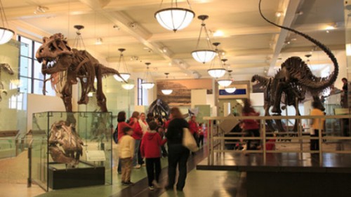 Museum-of-Natural1-History