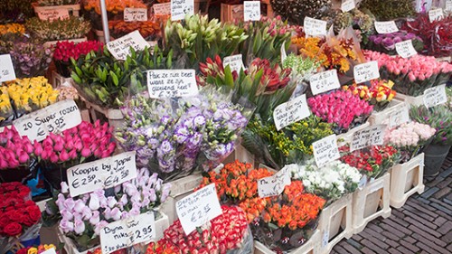 שוק הפרחים (צילום: Shutterstock)