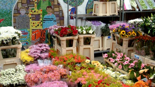 שוק הפרחים בקולומביה (צילום: shutterstock)