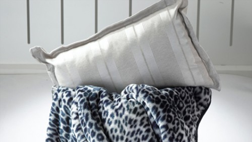 כרבולית של כיתן. צילום: ישראל כהן