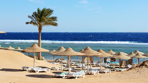 סיני. צילום: Shutterstock סיני. צילום: Shutterstock