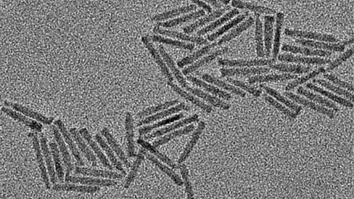 דן אורון. ננו-גבישים אשר הופכים שני פוטונים בעלי אנרגיה נמוכה לפוטון אחד בעל אנרגיה גבוהה (צילום במיקרוסקופ אלקטרונים)
