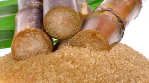 קנה הסוכר הוא אולי הצמח המורכב והמתוסבך ביותר מבחינת הפלואידיות שלו צילום: שאטרסטוק