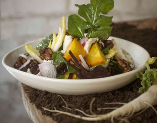 Photo by: Ben Yuster