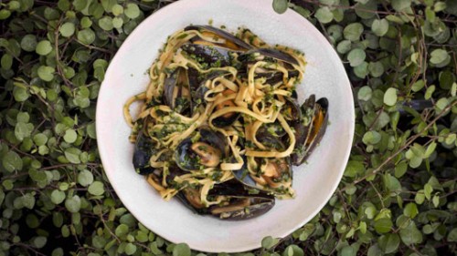 Photo by: Ben Yuster