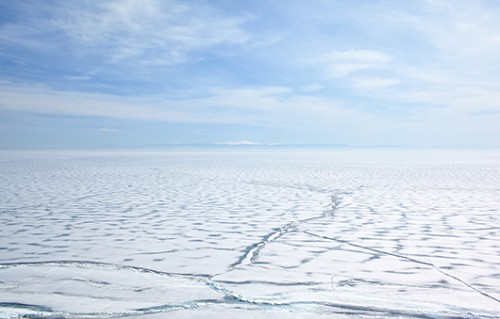 האם מסתתרים עוד נגיםים בתוך הקרח? צילום: שאטרסטוק
