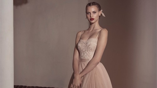 צילום: דביר כחלון