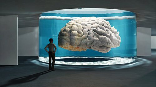 תערוכת המוח במכון ויצמן. צילום: יח"צ