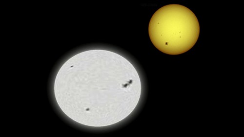 השוואה בין אלטאיר (משמאל) והשמש צילום: Omnidom 999, Wikipedia