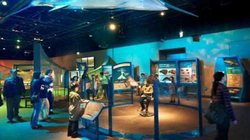 תערוכת ביומכניקה בגן המדע