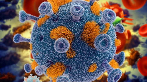 החוקרים הראו כי עירוי של תאים שהונדסו להיות עמידים ל־HIV בטוח לשימוש בבני אדם צילום: שאטרסטוק