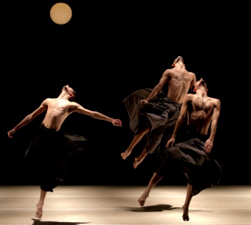 A Year’s Worth of Dance - Suzzan Delal year’s subscription