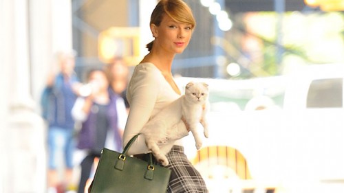 טיילור סוויפט וחתולתה, אוליביה בנסון. צילום: Getty Images