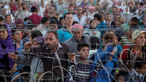 פליטים כורדים בגבול טורקיה. צילום: פול סאלופק