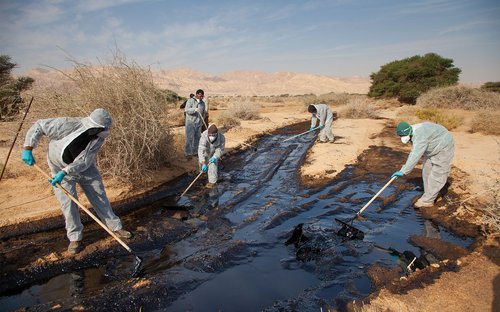 עבודות לניקוי זיהום הנפט בעברונה (צילום: דורון ניסים)