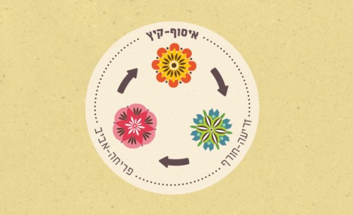 זרעי קיץ