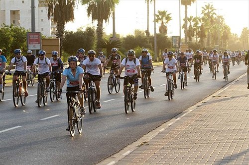 קרדיט רונן טופלברג סובב 2013 (14)