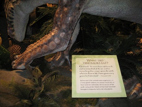 מתוך תצוגה במוזיאון הבריאה שבקנטאקי, ארצות הברית. בלוח נטען, בניגוד לממצאי המדע, כי כל הדינוזאורים היו צימחוניים, וזאת על סמך פסוק ל' פרק א' בספר בראשית צילום מתוך Wikipedia