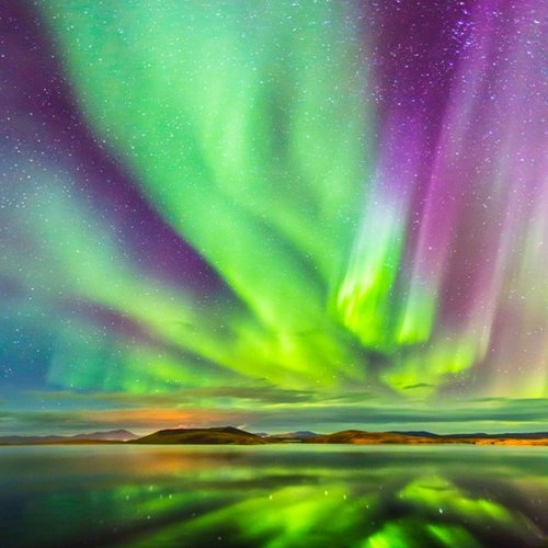 מופע מרהיב של הזוהר הצפוני משתקף במימיו של אגם Mývatn. הצבעים השונים נקבעים בהתאם לסוג האטום באטמוספירה בו נתקלים החלקיקים הנישאים ברוחות הסולאריות צילום: נמרוד גנישר 