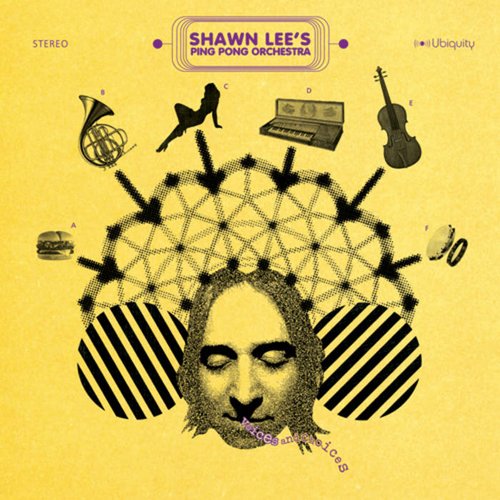 Shawn Lee's Ping Pong Orchestra - Voices and Choices