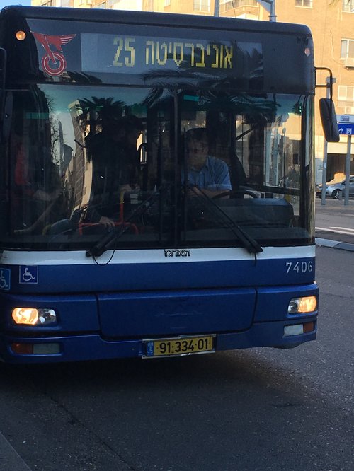 תמונת רקע לכתבת אוטובוסים