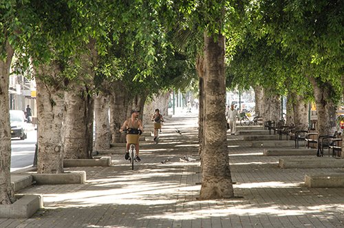 רוכבי אופניים בשדרות ירושלים. אין שביל, יש קנסות (צילום: יולי גורודינסקי)