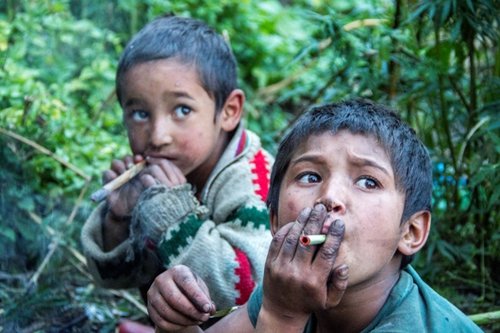 ילדים מעשנים את גבעולי צמח הג'אראס  צילום: דנה תמרי