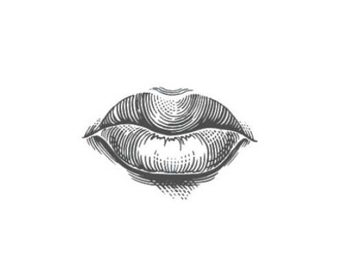 שפתיים (איור: shutterstock)