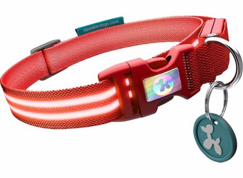 לא יפספסו את הכלב שלכם. צילום: מתוך אתר squeakerdogs.com