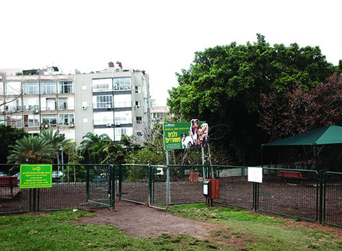 גינת הכלבים בגן העיר. צילום: בן קלמר גינת הכלבים בגן העיר. צילום: בן קלמר