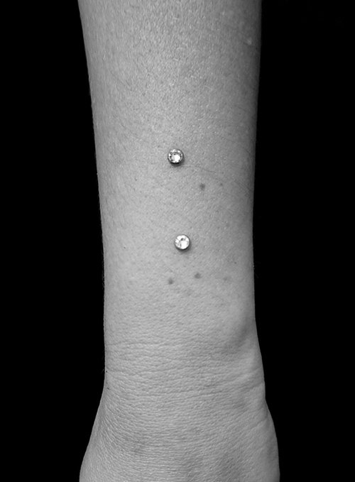 עגילי סרפס - עגילים תת עוריים של קיפוד טאטו פירסינג שופ. צילום: ויטלי פישילביץ ובר שחר