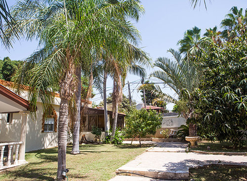 מתחם הבתים אצל פייסל אבו יוסף. צילום: שלומי יוסף