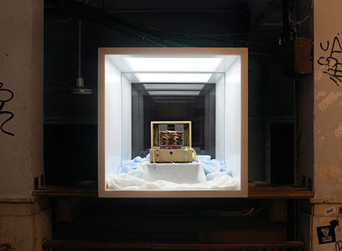 קופסת האור של נוימסטר-ברעם בתדר (צילום: טל נסים)