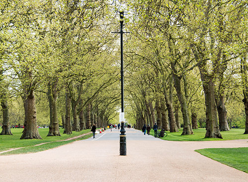 הייד פארק בלונדון. צילום: שאטרסטוק