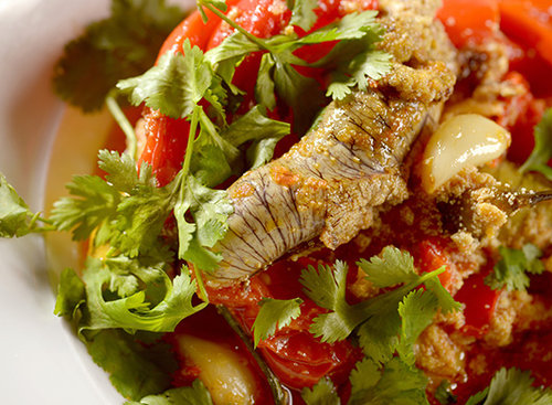 תבשיל ביצי דגים, פסקדו. צילום: רן בירן