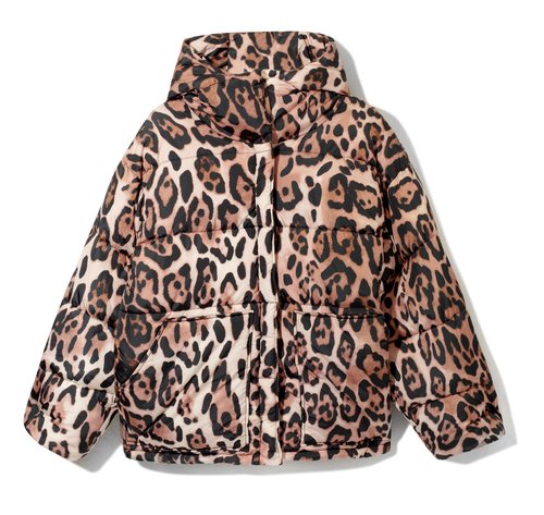 מעיל מנומר. 300 ש"ח