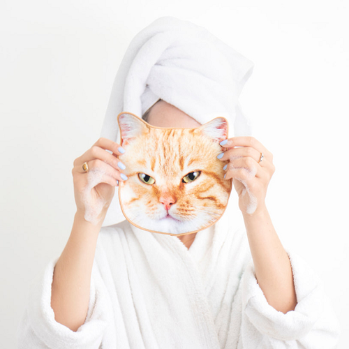 מגבת פנים של חתול 