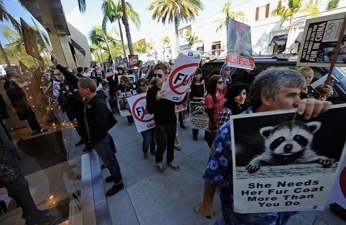 פעילים למען זכויות בעלי חיים בקליפורניה. צילום: Gettyimages