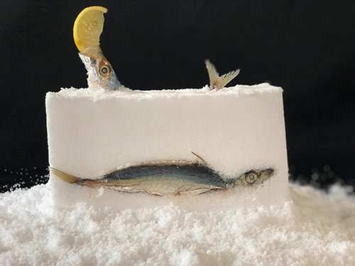 דגים ב־15 טון מלח. עבודה של מיכל אביתר וכרמל בר (צילום: יערה בר)
